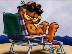 Garfield na wakacjach